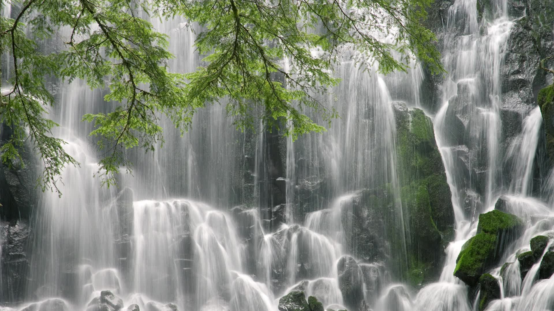 世界体操团体赛赛场设备维护手册更新，世界体操锦标赛