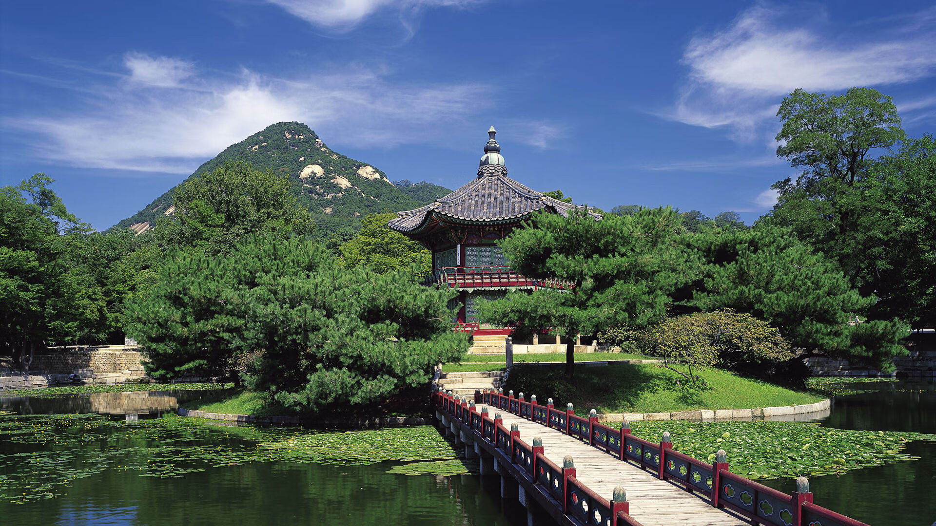 世界体能恢复训练营：跨学科团队为运动员量身定制方案，体能恢复训练视频