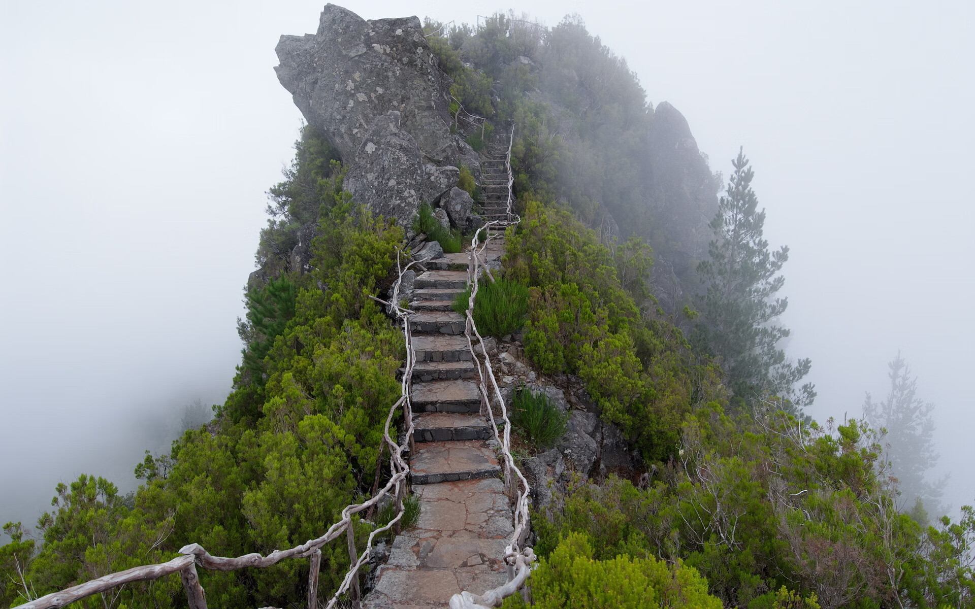 世界保龄球青年联赛线上平台接入更多赛事数据，世界保龄球冠军